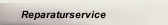 Reparaturservice